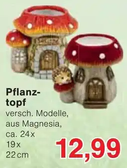 Wiglo Wunderland Pflanztopf Angebot