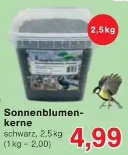 Wiglo Wunderland Sonnenblumenkerne schwarz Angebot