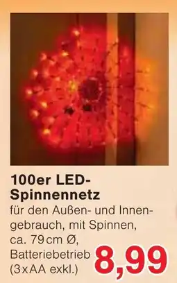 Wiglo Wunderland 100er LED-Spinnennetz Angebot
