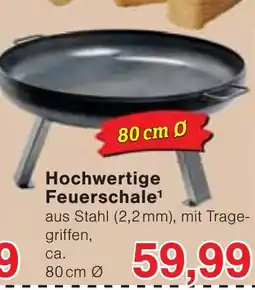 Wiglo Wunderland Hochwertige Feuerschale Angebot