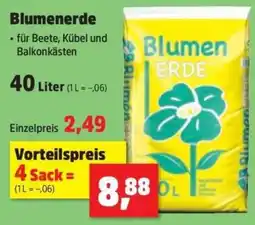 Thomas Philipps Blumenerde Angebot