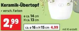 Thomas Philipps Keramik-Übertopf Angebot