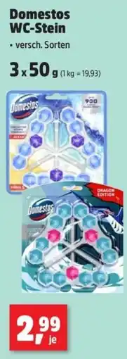 Thomas Philipps Domestos WC-Stein Angebot