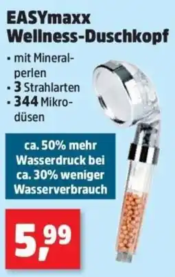 Thomas Philipps EASYmaxx Wellness-Duschkopf Angebot