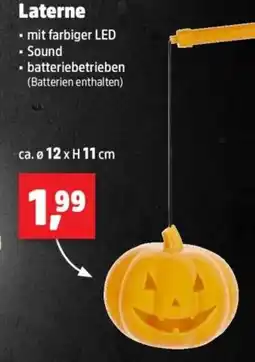 Thomas Philipps Laterne Angebot