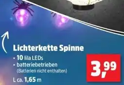 Thomas Philipps Lichterkette Spinne Angebot