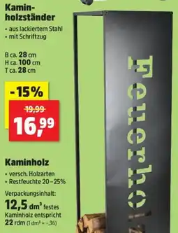 Thomas Philipps Kaminholzständer Angebot