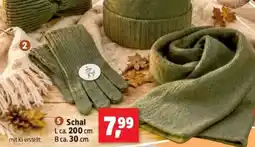 Thomas Philipps Schal Angebot