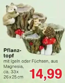 Jawoll Pflanztopf mit Igel oder Füchsen Angebot