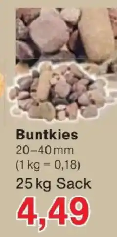 Jawoll Buntkies Angebot