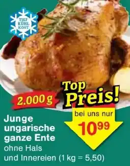 Jawoll Junge ungarische ganze Ente Angebot