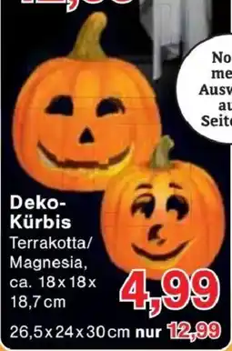 Jawoll Deko-Kürbis Angebot