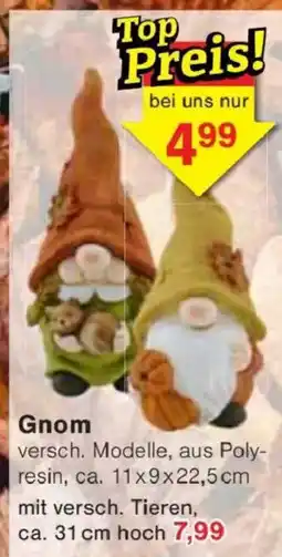 Jawoll Gnom Angebot