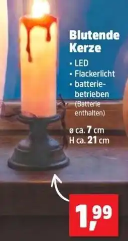 Thomas Philipps Blutende Kerze Angebot