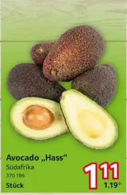 Selgros Avocado „Hass“ Angebot