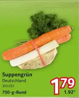 Selgros Suppengrün Angebot