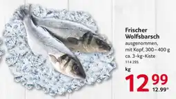 Selgros Frischer Wolfsbarsch Angebot