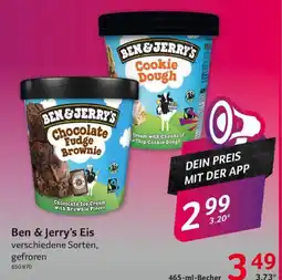 Selgros Ben & Jerry's Eis Angebot
