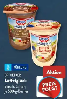 Aldi Süd DR. OETKER Löffelglück Angebot