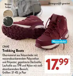 Aldi Süd CRANE Trekking Boots Angebot
