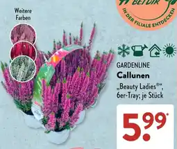 Aldi Süd GARDENLINE Callunen Angebot