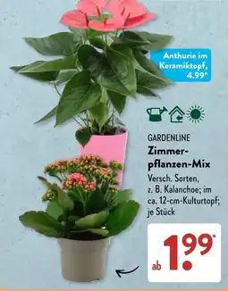 Aldi Süd GARDENLINE Zimmer-pflanzen-Mix Angebot
