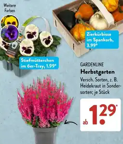 Aldi Süd GARDENLINE Herbstgarten Angebot