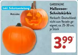Aldi Süd GARDENLINE Halloween-Schnitzkürbis Angebot