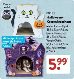 Aldi Süd CACHET Halloween-Katzenkratzhaus Angebot