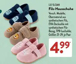 Aldi Süd LILY & DAN Filz-Hausschuhe Angebot