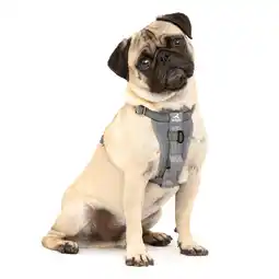 Netto Marken-Discount Kurgo Tru-Fit Autosicherheitsgeschirr für Hunde, Größe S, Grau Angebot