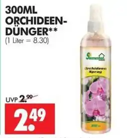 Wreesmann Sonnentor Orchideen-Spray Angebot