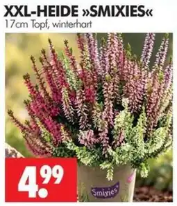 Wreesmann XXL-HEIDE »SMIXIES« Angebot