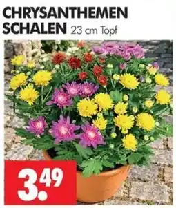 Wreesmann CHRYSANTHEMEN SCHALEN Angebot
