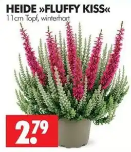 Wreesmann HEIDE »FLUFFY KISS« Angebot