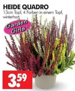 Wreesmann HEIDE QUADRO Garden Girls Angebot