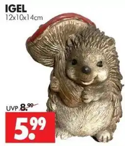 Wreesmann IGEL Angebot
