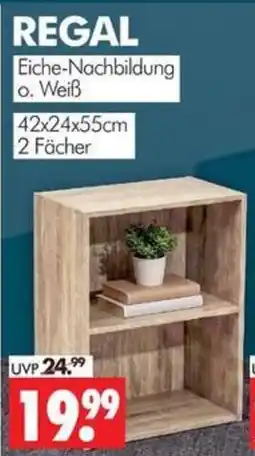 Wreesmann REGAL Eiche-Nachbildung Angebot