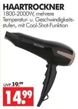 Wreesmann HAARTROCKNER Angebot