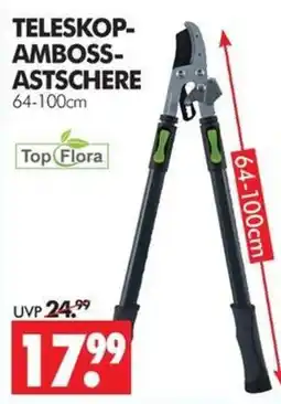 Wreesmann TELESKOP-AMBOSST-ASTSCHERE Top Flora Angebot