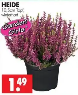 Wreesmann Garden Girls HEIDE Angebot
