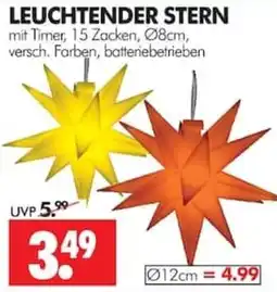 Wreesmann LEUCHTENDER STERN Angebot
