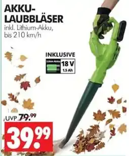 Wreesmann AKKU-LAUBBLÄSER Angebot