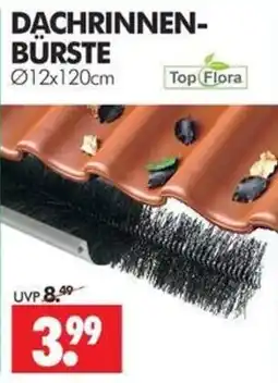 Wreesmann Dachrinnen-Bürste Top Flora Angebot