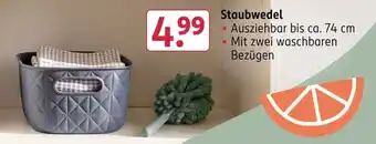 Rossmann Staubwedel Angebot