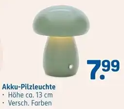 Rossmann Akku-Pilzleuchte Angebot