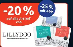Budni LILLYDOO Angebot