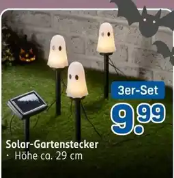 Rossmann Solar-Gartenstecker Angebot