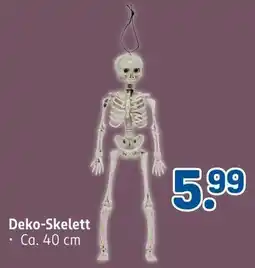 Rossmann Deko-Skelett Angebot