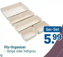 Rossmann Filz-Organizer Angebot